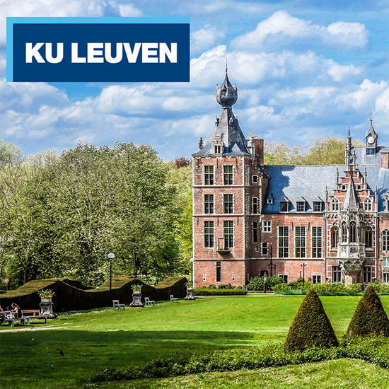 Picture of KU Leuven's Arenberg castle